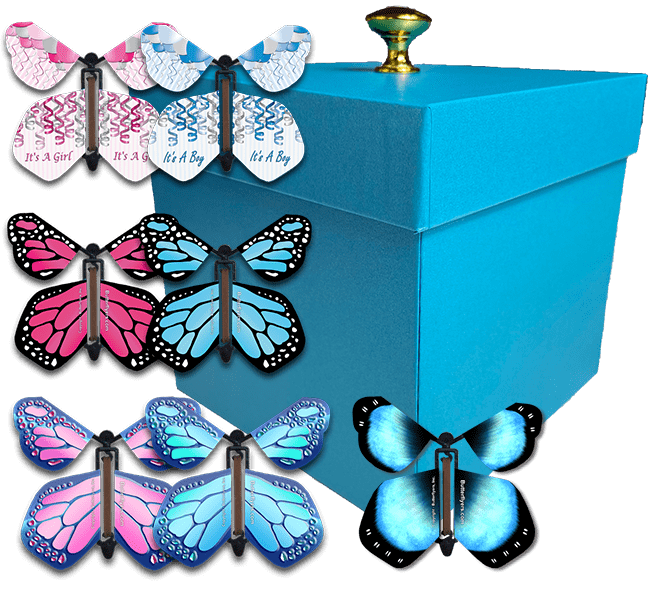 Blue Exploding Butterfly Box With Gender Reveal Flying Butterflies From Butterflyers.com