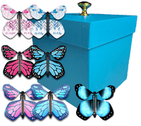 
              Blue Exploding Butterfly Box With Gender Reveal Flying Butterflies From Butterflyers.com
            