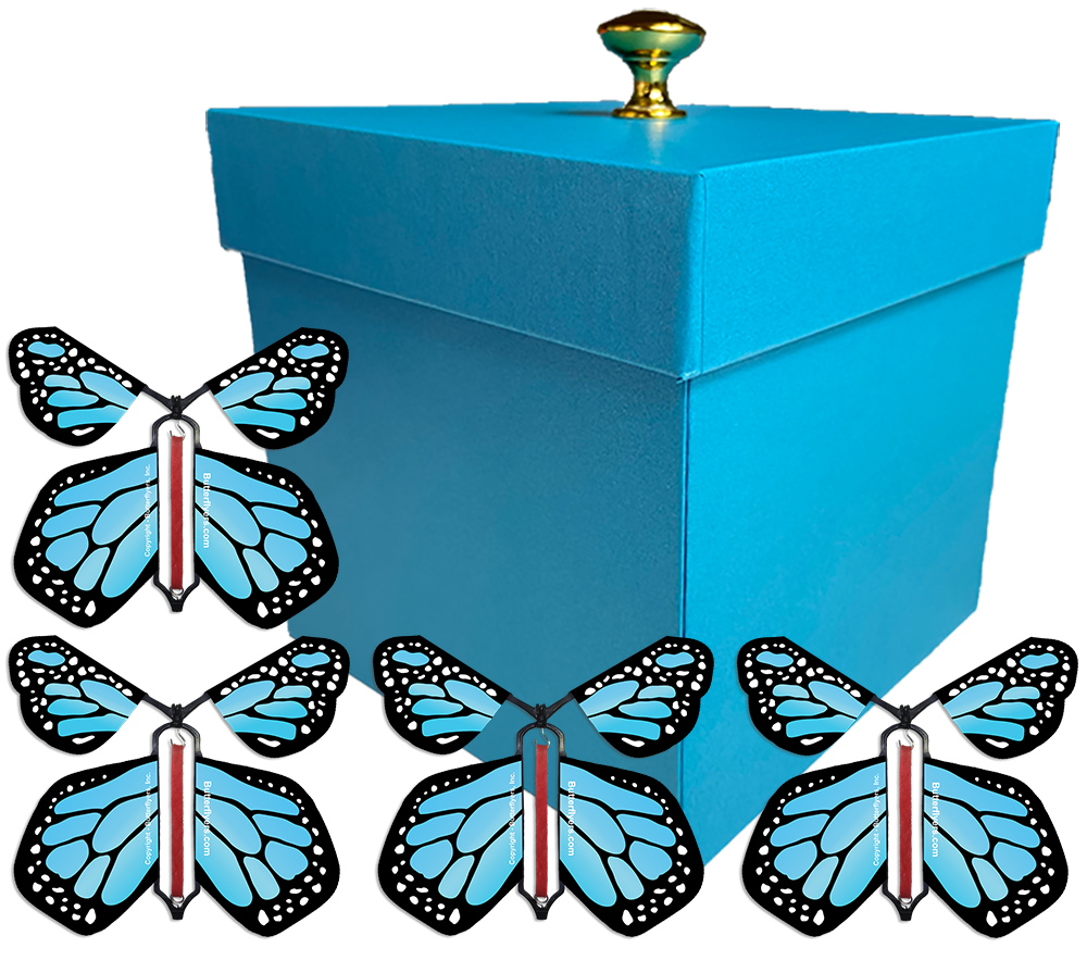 Blue Exploding Butterfly Gift Box With 4 Blue Monarch Wind Up Flying Butterflies from butterflyers.com