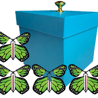 Blue Exploding Butterfly Gift Box With 4 Green Monarch Wind Up Flying Butterflies from butterflyers.com