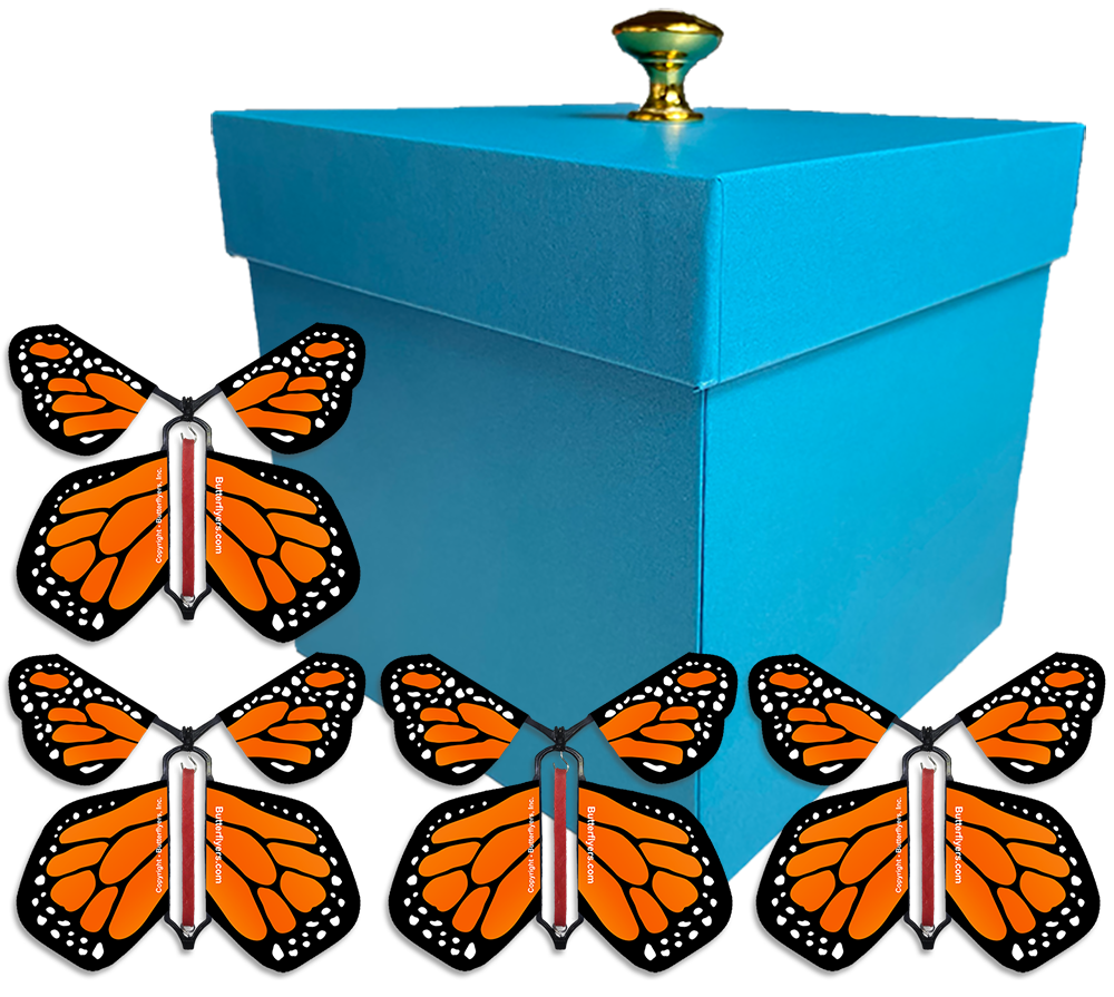 Blue Exploding Butterfly Gift Box With 4 Orange Monarch Wind Up Flying Butterflies from butterflyers.com