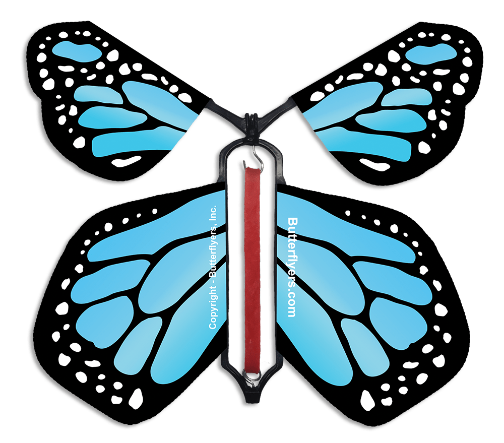 Blue Monarch Flying Butterfly