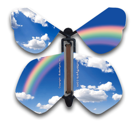 Blue Sky Rainbow Flying Butterfly