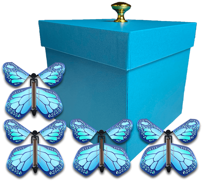 Blue Exploding Butterfly Gift Box With 4 Cobalt Blue Wind Up Flying Butterflies from butterflyers.com