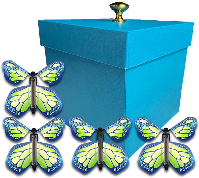 Blue Exploding Butterfly Gift Box With 4 Cobalt Orange Wind Up Flying Butterflies from butterflyers.com