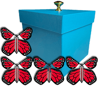 
              Blue Exploding Butterfly Gift Box With 4 Red Monarch Wind Up Flying Butterflies from butterflyers.com
            