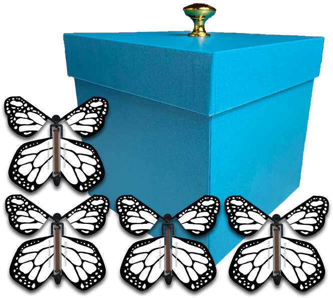Blue Exploding Butterfly Gift Box With 4 White Monarch Wind Up Flying Butterflies from butterflyers.com