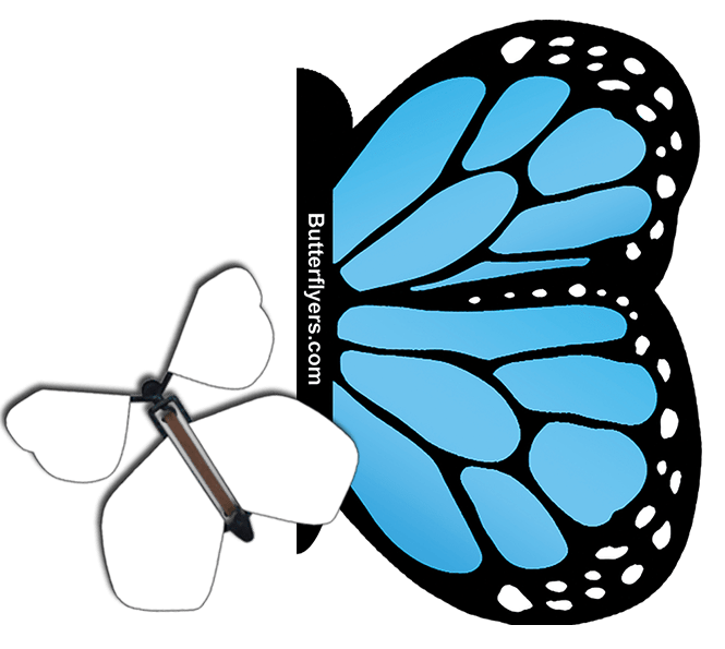 Blue Monarch Exploding Butterfly Card with Blank wind up flying butterfly from butterflyers.com