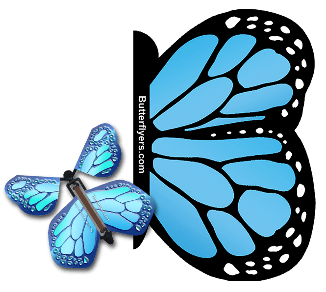 Blue Monarch Exploding Butterfly Card with Cobalt Blue Monarch wind up flying butterfly from butterflyers.com