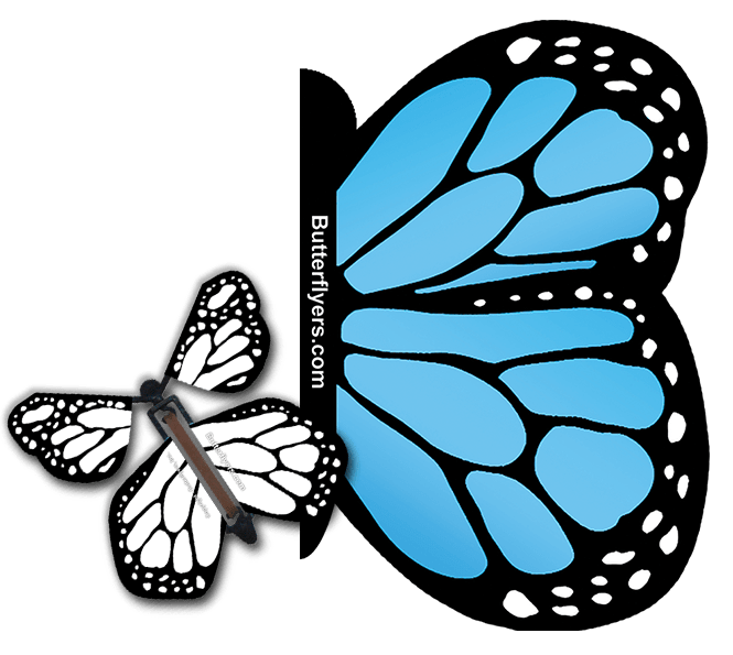Blue Monarch Exploding Butterfly Card with White Monarch wind up flying butterfly from butterflyers.com