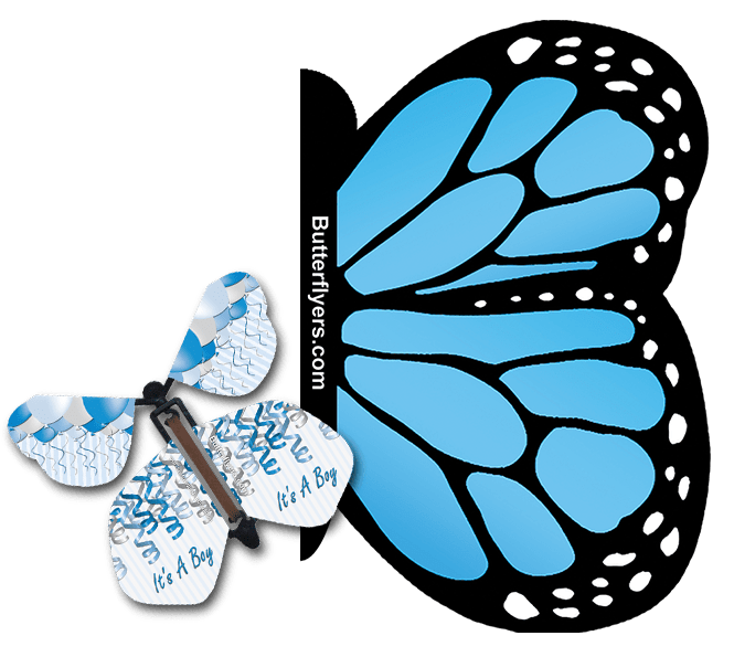 Blue Monarch Exploding Butterfly Card with It's A Boy wind up flying butterfly from butterflyers.com