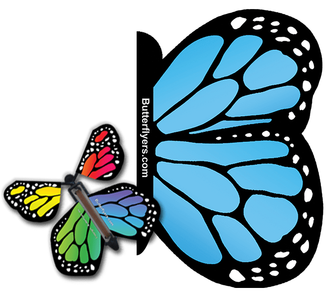 Blue Monarch Exploding Butterfly Card with Rainbow Monarch wind up flying butterfly from butterflyers.com