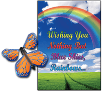 
              Blue Sky Rainbow greeting card with cobalt orange flying butterfly from butterflyers.com
            
