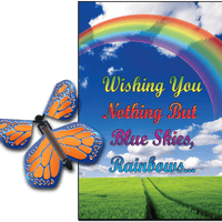 Blue Sky Rainbow greeting card with cobalt orange flying butterfly from butterflyers.com