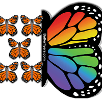 Rainbow Monarch Flying Butterfly Booklet with 5 Orange Monarch flying butterflies from butterflyers.com