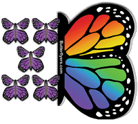 
              Rainbow Monarch Flying Butterfly Booklet with 5 Purple Monarch flying butterflies from butterflyers.com
            