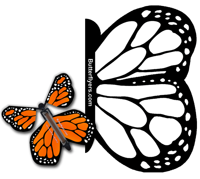 Color Me Monarch Exploding Butterfly Card with Orange Monarch wind up flying butterfly from butterflyers.com