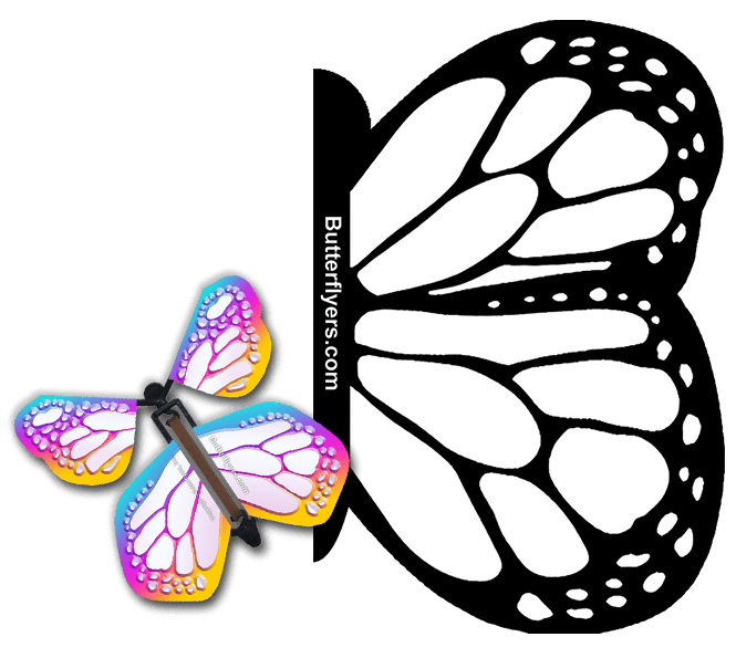 Color Me Monarch Exploding Butterfly Card with Bismuth Monarch wind up flying butterfly from butterflyers.com