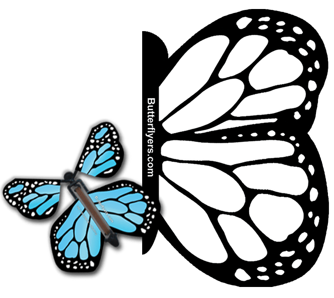 Color Me Monarch Exploding Butterfly Card with Blue Monarch wind up flying butterfly from butterflyers.com