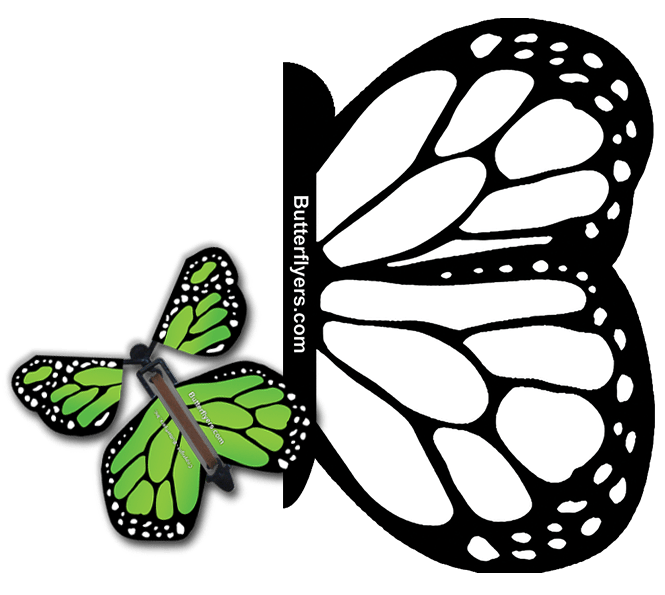 Color Me Monarch Exploding Butterfly Card with Green Monarch wind up flying butterfly from butterflyers.com