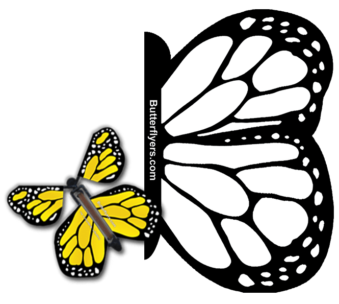 Color Me Monarch Exploding Butterfly Card with Yellow Monarch wind up flying butterfly from butterflyers.com