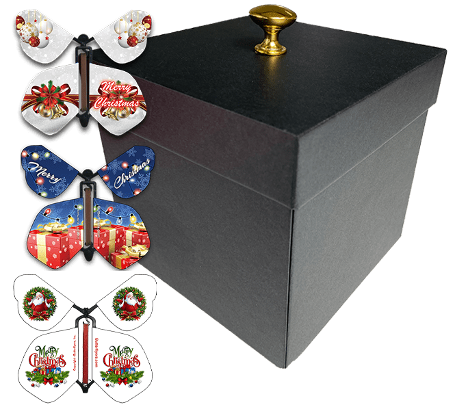 Christmas Surprise Flying Butterfly Gift Box - Black Box With 4 Wind Up Flying Butterflies from butterflyers.com