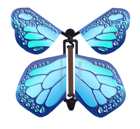 Cobalt Blue Wind Up Flying Butterfly For Greeting Cards by Butterflyers.com