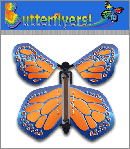 Cobalt Orange Wind Up Flying Butterfly For Greeting Cards by Butterflyers.com