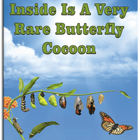 Rare Cocoon Butterfly greeting card cover with wind up flying butterfly from butterflyers.com
