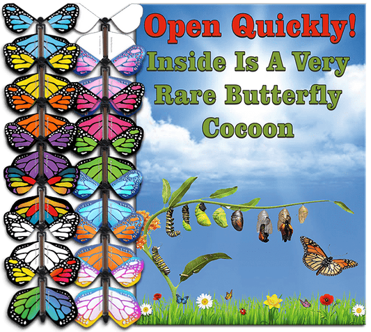 Rare Cocoon Butterfly greeting card with wind up flying butterfly from butterflyers.com