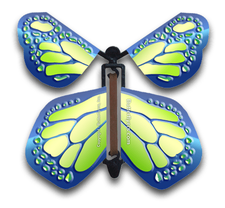 Cobalt Green Wind Up Flying Butterfly For Greeting Cards by Butterflyers.com