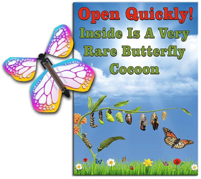 Rare Cocoon Butterfly greeting card with Bismuth wind up flying butterfly from butterflyers.com