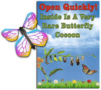 
              Rare Cocoon Butterfly greeting card with Bismuth wind up flying butterfly from butterflyers.com
            