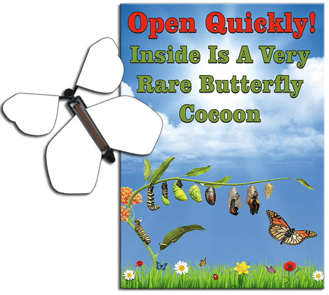 Rare Cocoon Butterfly greeting card with Blank wind up flying butterfly from butterflyers.com