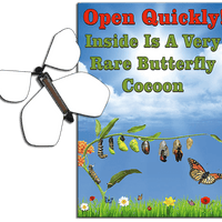 Rare Cocoon Butterfly greeting card with Blank wind up flying butterfly from butterflyers.com
