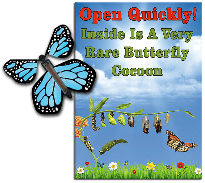 Rare Cocoon Butterfly greeting card with Blue wind up flying butterfly from butterflyers.com