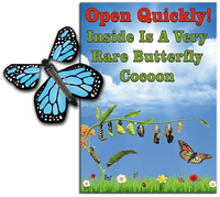 
              Rare Cocoon Butterfly greeting card with Blue wind up flying butterfly from butterflyers.com
            