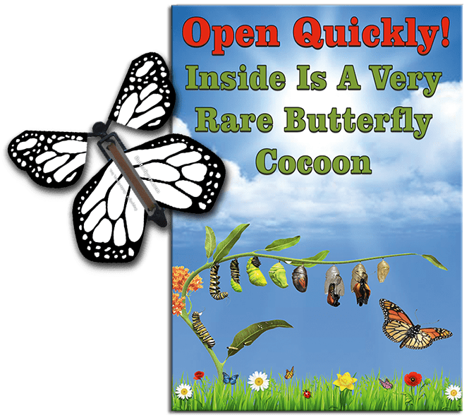 Rare Cocoon Butterfly greeting card with White wind up flying butterfly from butterflyers.com