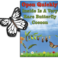 Rare Cocoon Butterfly greeting card with White wind up flying butterfly from butterflyers.com