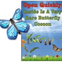 Rare Cocoon Butterfly greeting card with Cobalt Blue wind up flying butterfly from butterflyers.com