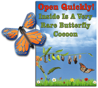 
              Rare Cocoon Butterfly greeting card with Cobalt Orange wind up flying butterfly from butterflyers.com
            