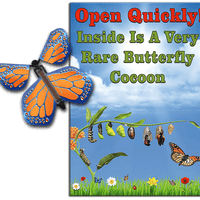 Rare Cocoon Butterfly greeting card with Cobalt Orange wind up flying butterfly from butterflyers.com