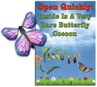 
              Rare Cocoon Butterfly greeting card with Cobalt Pink wind up flying butterfly from butterflyers.com
            