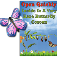 Rare Cocoon Butterfly greeting card with Cobalt Pink wind up flying butterfly from butterflyers.com
