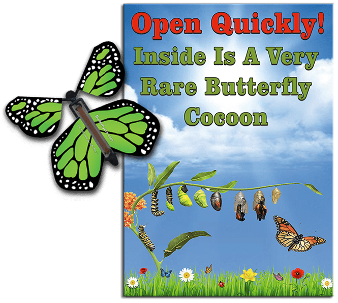 Rare Cocoon Butterfly greeting card with Green wind up flying butterfly from butterflyers.com