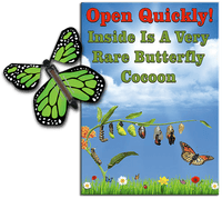 
              Rare Cocoon Butterfly greeting card with Green wind up flying butterfly from butterflyers.com
            