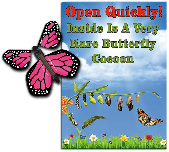 Rare Cocoon Butterfly greeting card with Pink wind up flying butterfly from butterflyers.com