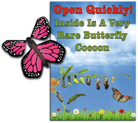 
              Rare Cocoon Butterfly greeting card with Pink wind up flying butterfly from butterflyers.com
            