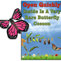 Rare Cocoon Butterfly greeting card with Pink wind up flying butterfly from butterflyers.com