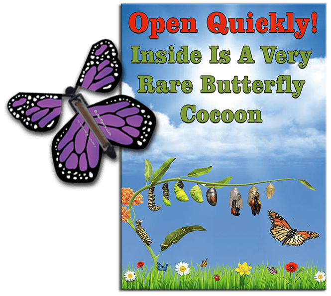 Rare Cocoon Butterfly greeting card with Purple wind up flying butterfly from butterflyers.com